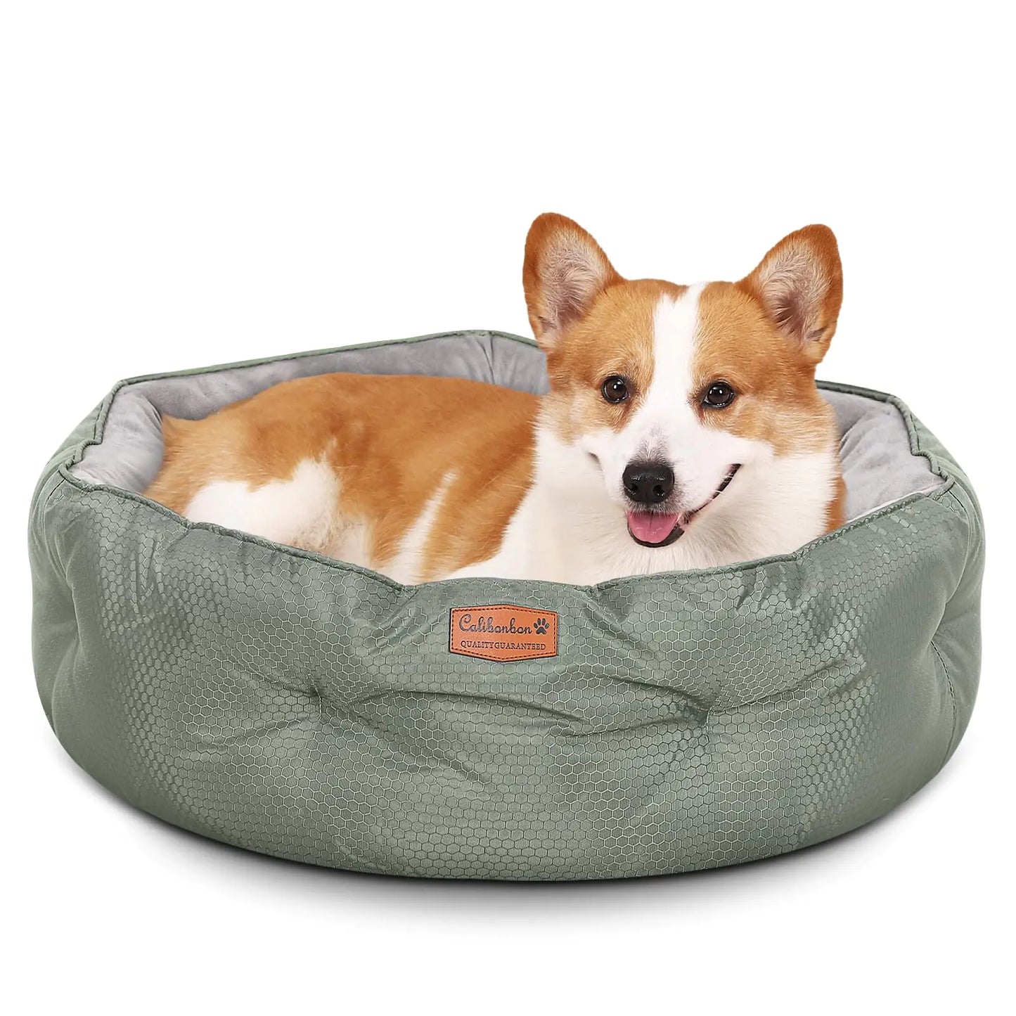 Premium Dog Bed